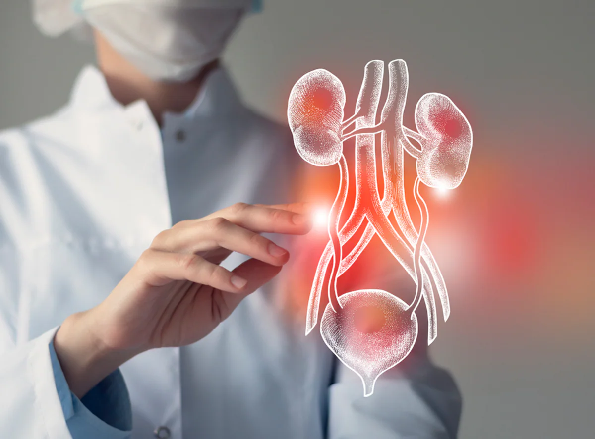 Kidney Transplantation